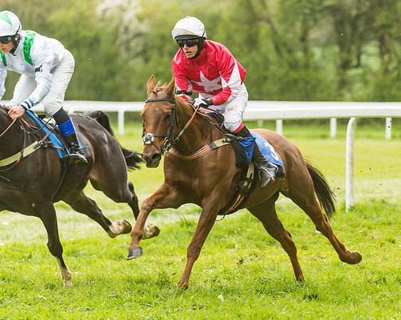 FBH Pony Races (66 of 78)