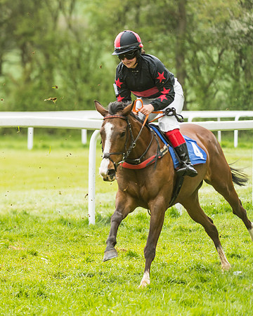 FBH Pony Races (67 of 78)