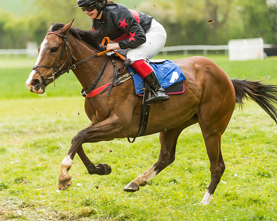 FBH Pony Races (72 of 78)
