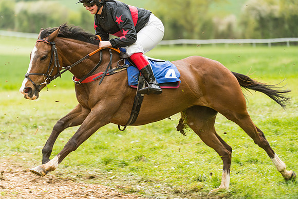 FBH Pony Races (73 of 78)
