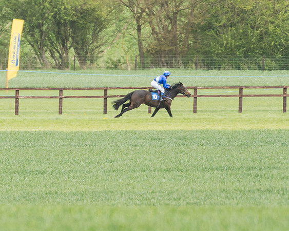 FBH Pony Races (78 of 78)