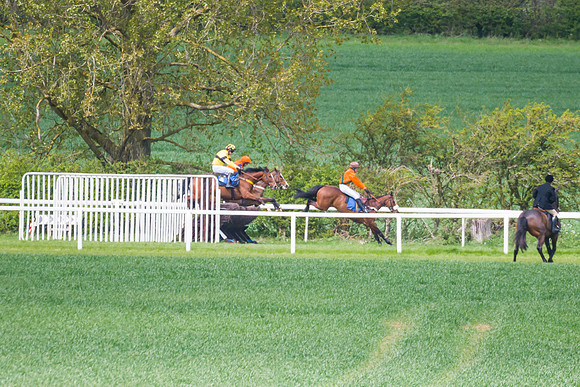 Race 1 - Hunt Members (28 of 79)
