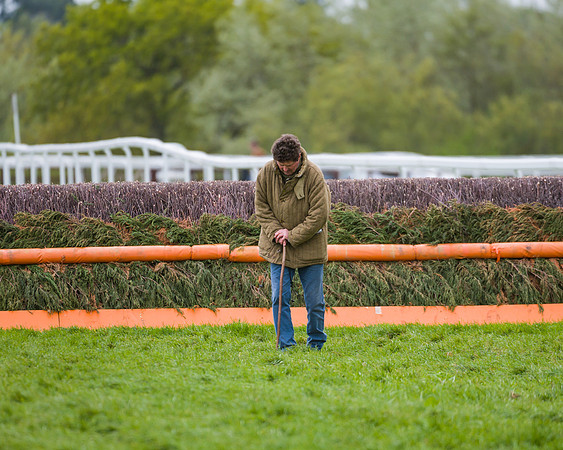 Race 2 - Young Horse Maiden  (3 of 100)
