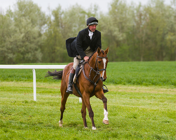 Race 2 - Young Horse Maiden  (4 of 100)