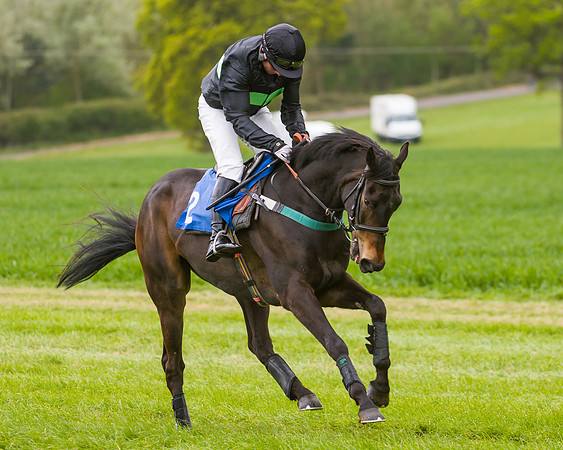 Race 2 - Young Horse Maiden  (6 of 100)