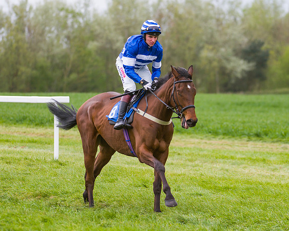 Race 2 - Young Horse Maiden  (9 of 100)