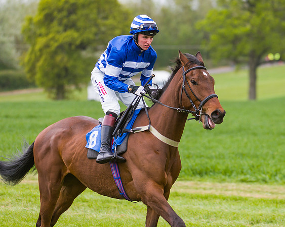 Race 2 - Young Horse Maiden  (10 of 100)