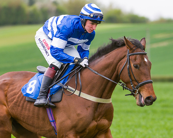 Race 2 - Young Horse Maiden  (11 of 100)