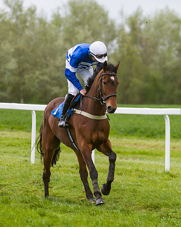 Race 2 - Young Horse Maiden  (12 of 100)