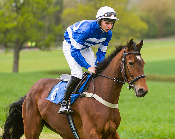 Race 2 - Young Horse Maiden  (14 of 100)