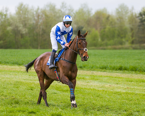 Race 2 - Young Horse Maiden  (15 of 100)
