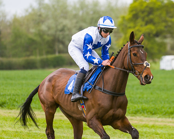Race 2 - Young Horse Maiden  (16 of 100)