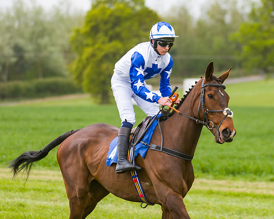 Race 2 - Young Horse Maiden  (17 of 100)