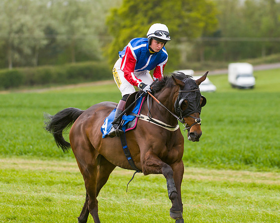 Race 2 - Young Horse Maiden  (18 of 100)
