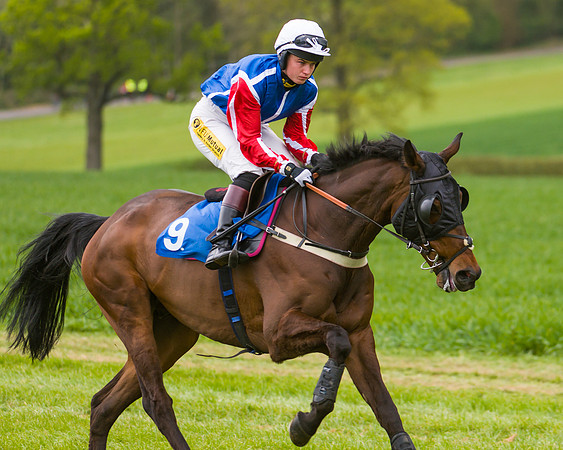 Race 2 - Young Horse Maiden  (19 of 100)