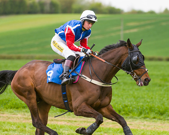 Race 2 - Young Horse Maiden  (20 of 100)