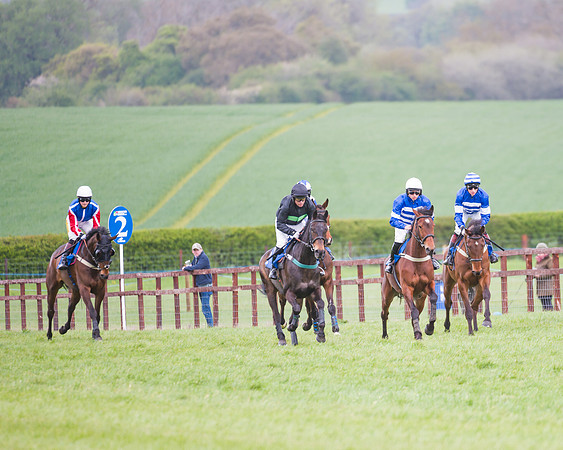 Race 2 - Young Horse Maiden  (24 of 100)