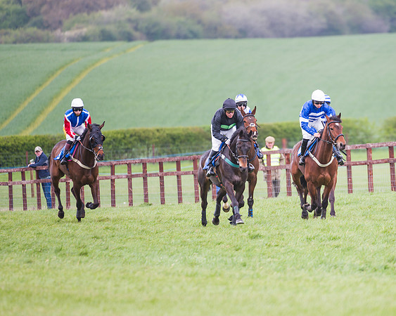Race 2 - Young Horse Maiden  (25 of 100)