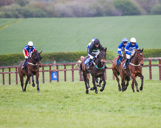 Race 2 - Young Horse Maiden  (26 of 100)
