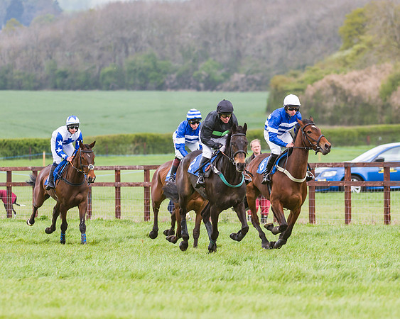 Race 2 - Young Horse Maiden  (27 of 100)