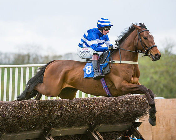 Race 2 - Young Horse Maiden  (31 of 100)