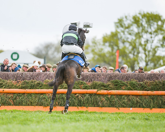 Race 2 - Young Horse Maiden  (32 of 100)