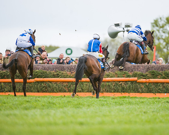 Race 2 - Young Horse Maiden  (33 of 100)