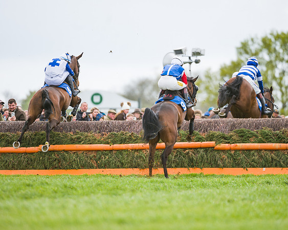 Race 2 - Young Horse Maiden  (34 of 100)