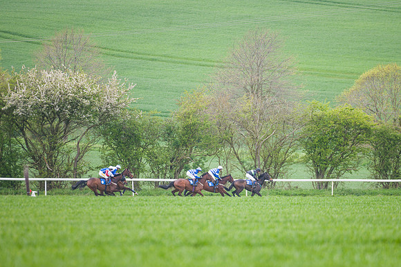 Race 2 - Young Horse Maiden  (38 of 100)