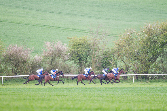 Race 2 - Young Horse Maiden  (39 of 100)