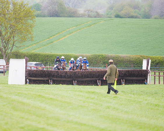 Race 2 - Young Horse Maiden  (43 of 100)
