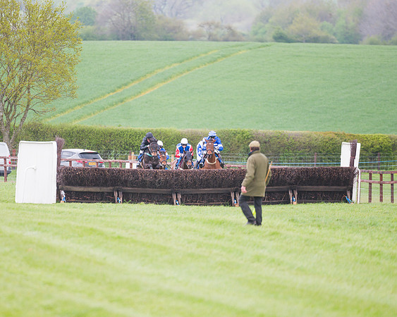 Race 2 - Young Horse Maiden  (44 of 100)