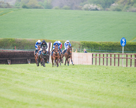 Race 2 - Young Horse Maiden  (47 of 100)