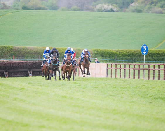 Race 2 - Young Horse Maiden  (48 of 100)