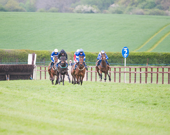Race 2 - Young Horse Maiden  (49 of 100)