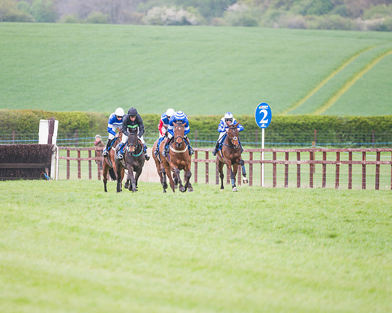 Race 2 - Young Horse Maiden  (50 of 100)