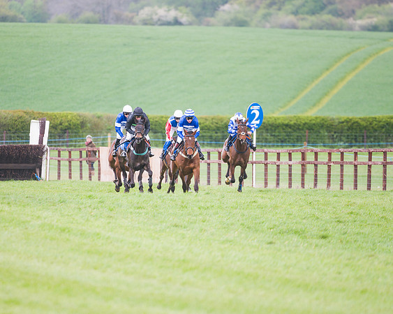 Race 2 - Young Horse Maiden  (51 of 100)