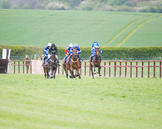 Race 2 - Young Horse Maiden  (52 of 100)