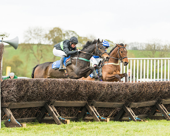 Race 2 - Young Horse Maiden  (53 of 100)