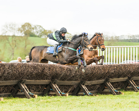 Race 2 - Young Horse Maiden  (54 of 100)