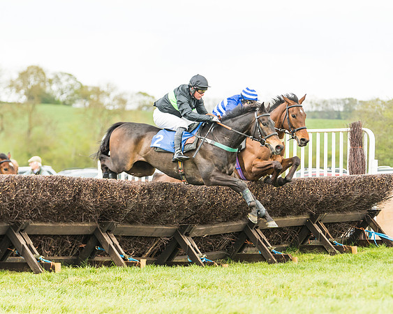 Race 2 - Young Horse Maiden  (55 of 100)