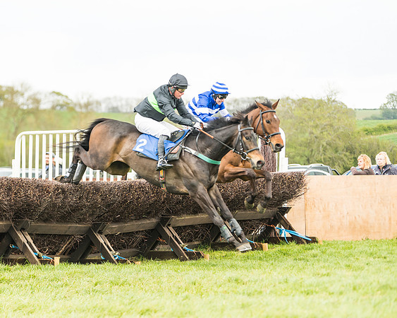 Race 2 - Young Horse Maiden  (56 of 100)