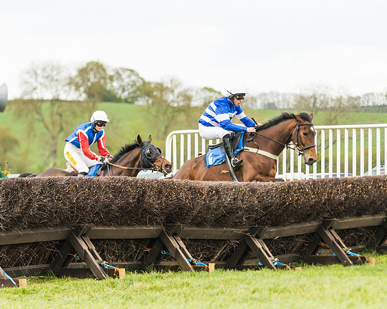 Race 2 - Young Horse Maiden  (57 of 100)