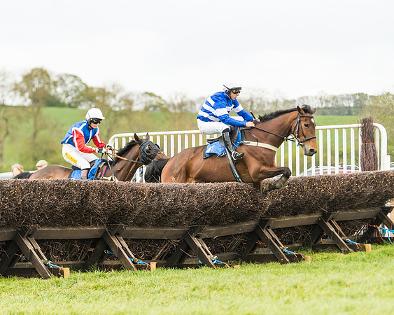Race 2 - Young Horse Maiden  (58 of 100)