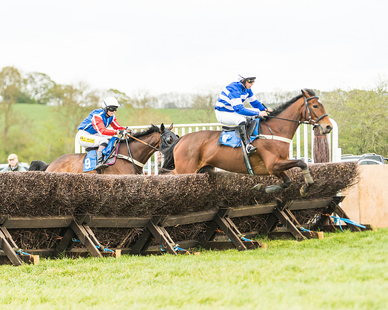 Race 2 - Young Horse Maiden  (59 of 100)