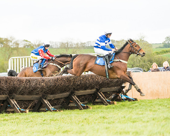 Race 2 - Young Horse Maiden  (60 of 100)