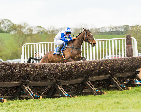 Race 2 - Young Horse Maiden  (61 of 100)