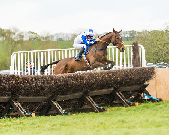 Race 2 - Young Horse Maiden  (62 of 100)