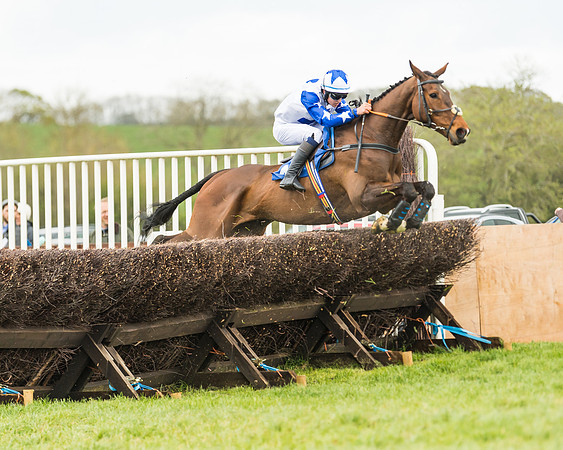 Race 2 - Young Horse Maiden  (63 of 100)