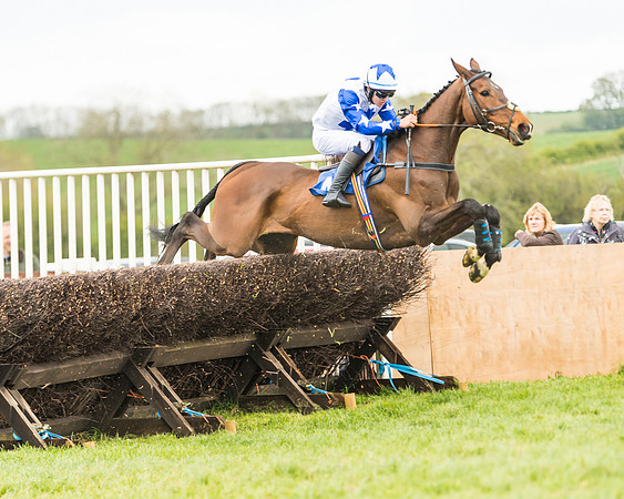 Race 2 - Young Horse Maiden  (64 of 100)